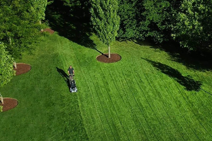 cordless mower review